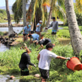 Exploring the Diverse Communities in Honolulu County, Hawaii