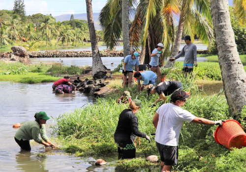 Exploring the Diverse Communities in Honolulu County, Hawaii